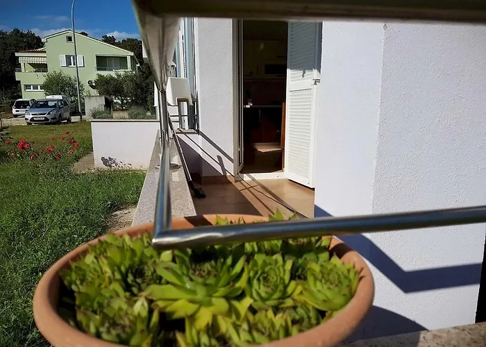 Vitalia 2+2 Apartament Poreč