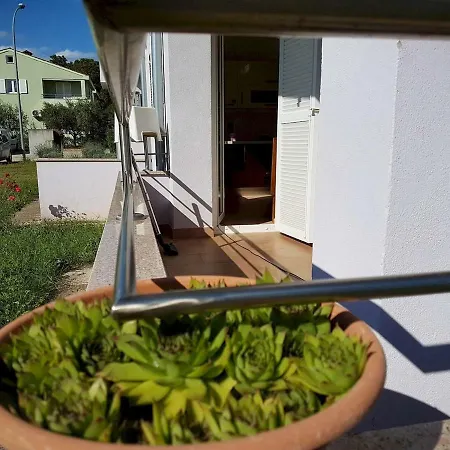 Vitalia 2+2 Apartment Porec