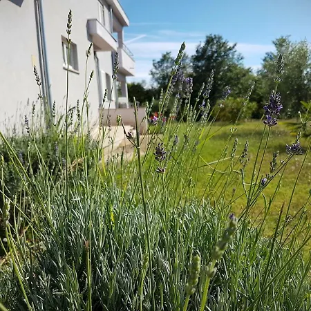 Vitalia 2+2 Appartement