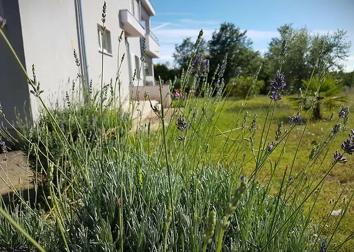 Vitalia 2+2 Apartamento